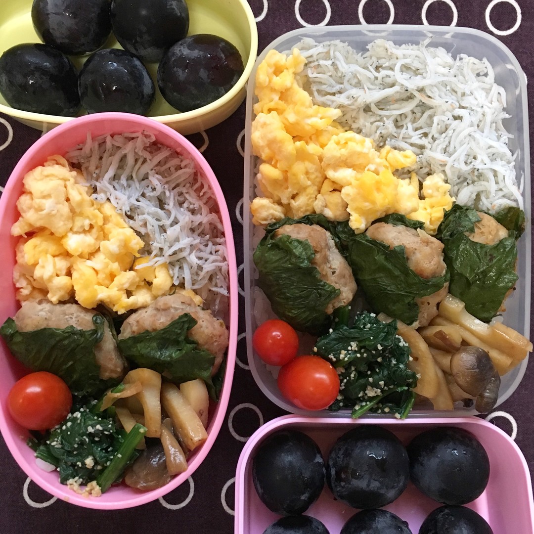 ニ色ご飯とハンバーグ弁当