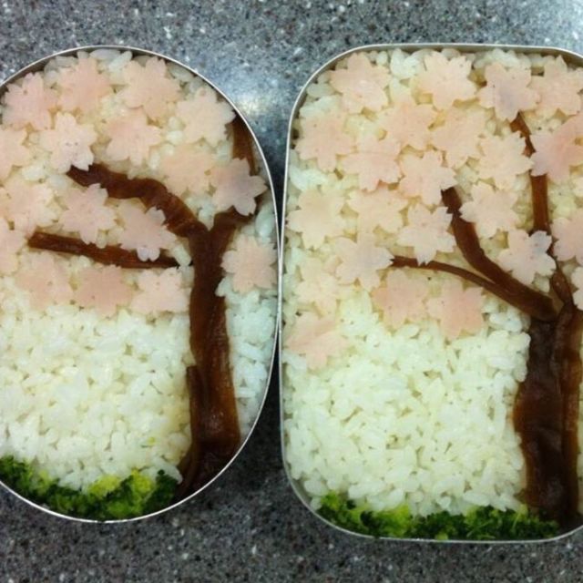 Sakura curry rice