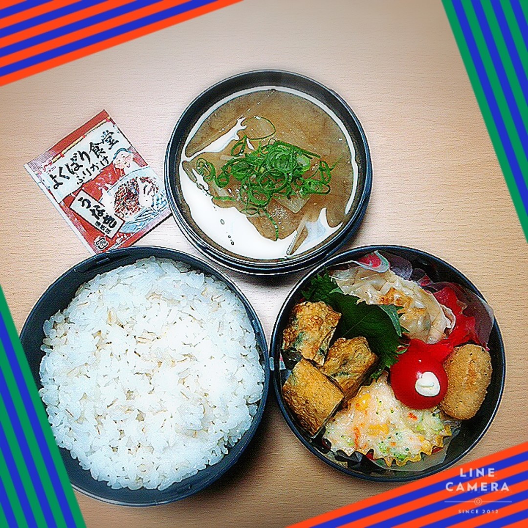 餃子弁当
