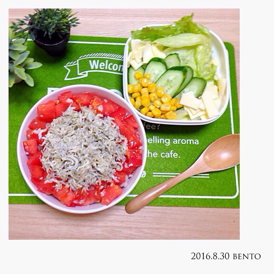 しらす丼弁当