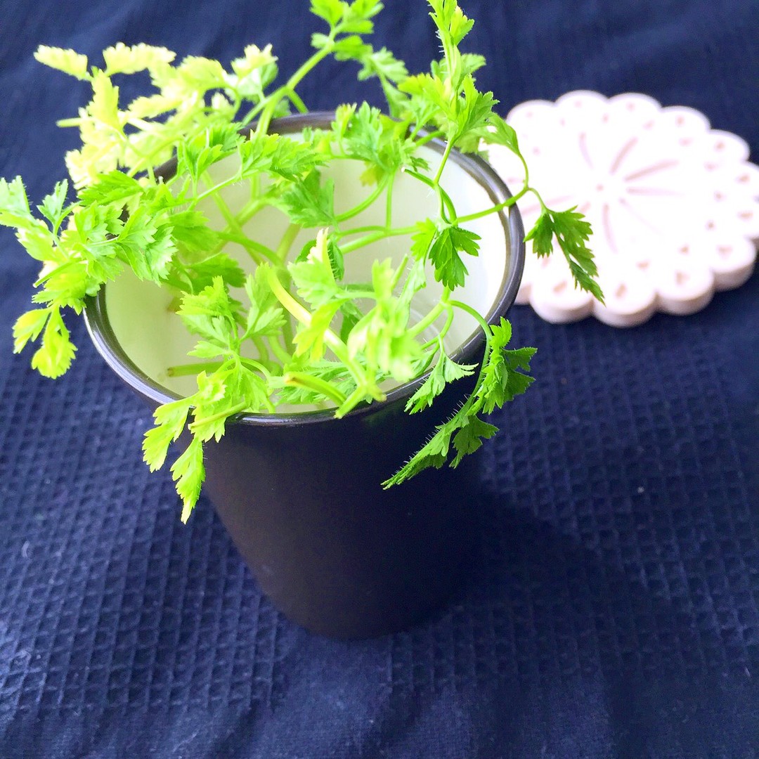 チャービル
