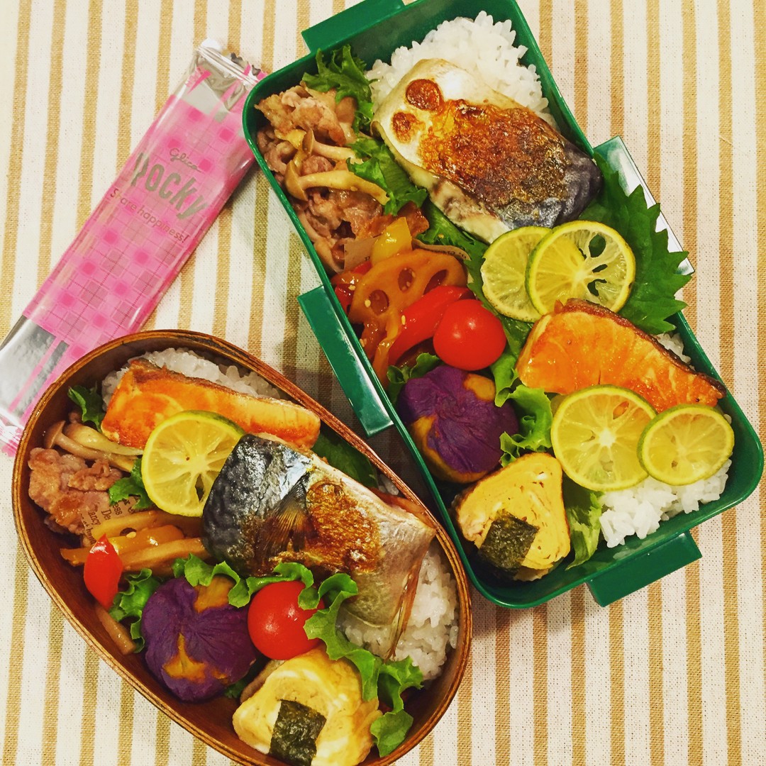 鮭と鯖ののっけ弁当