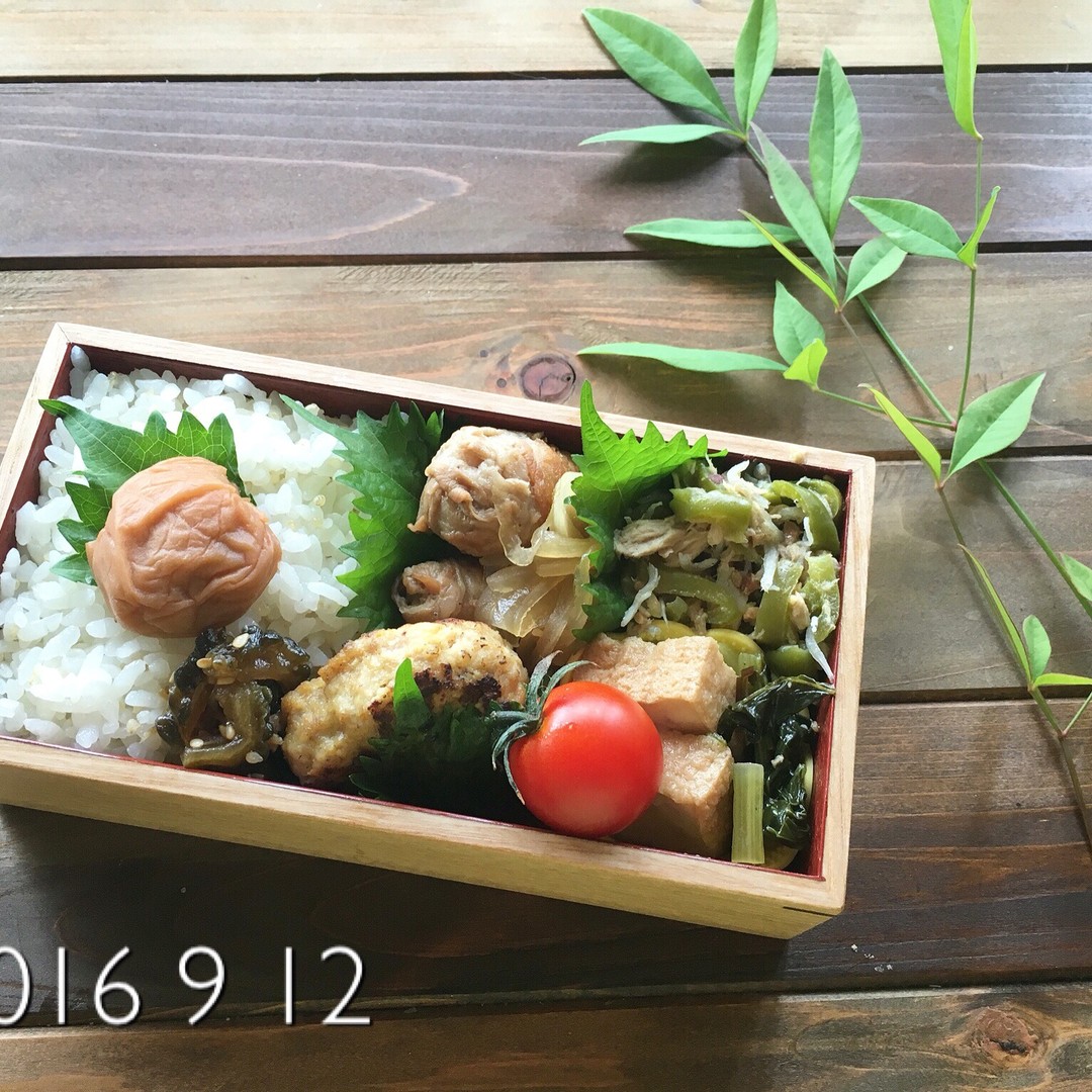 ハンバーグと肉団子とじゃこナッツ無限ピーマン弁当