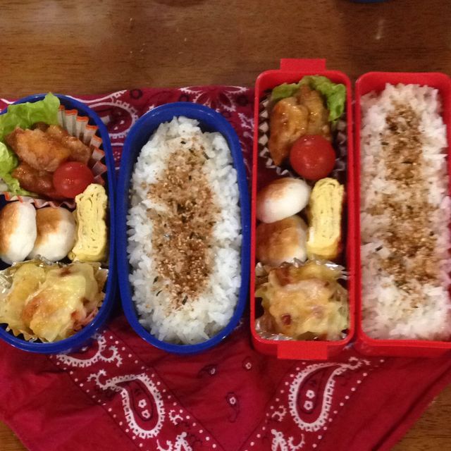 お弁当投稿