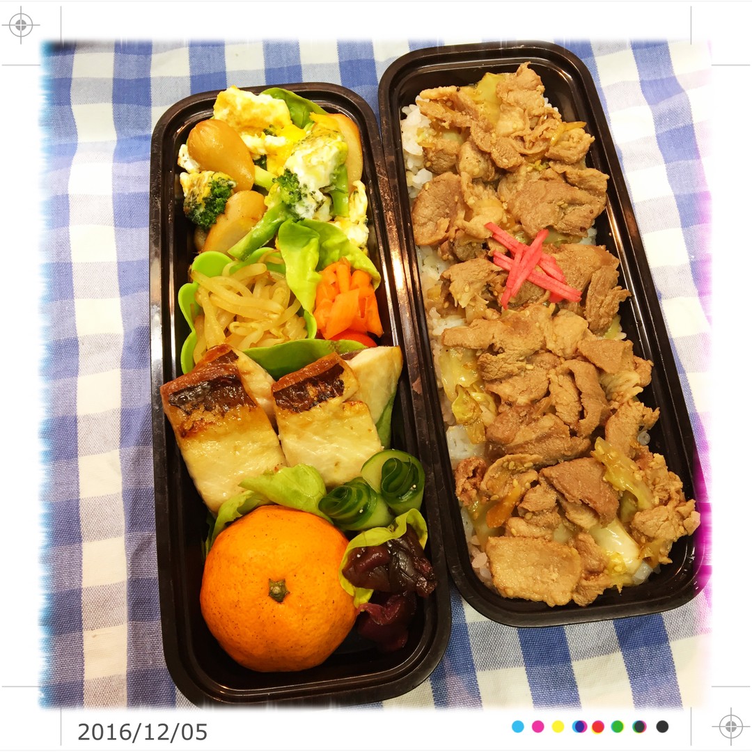 お弁当投稿
