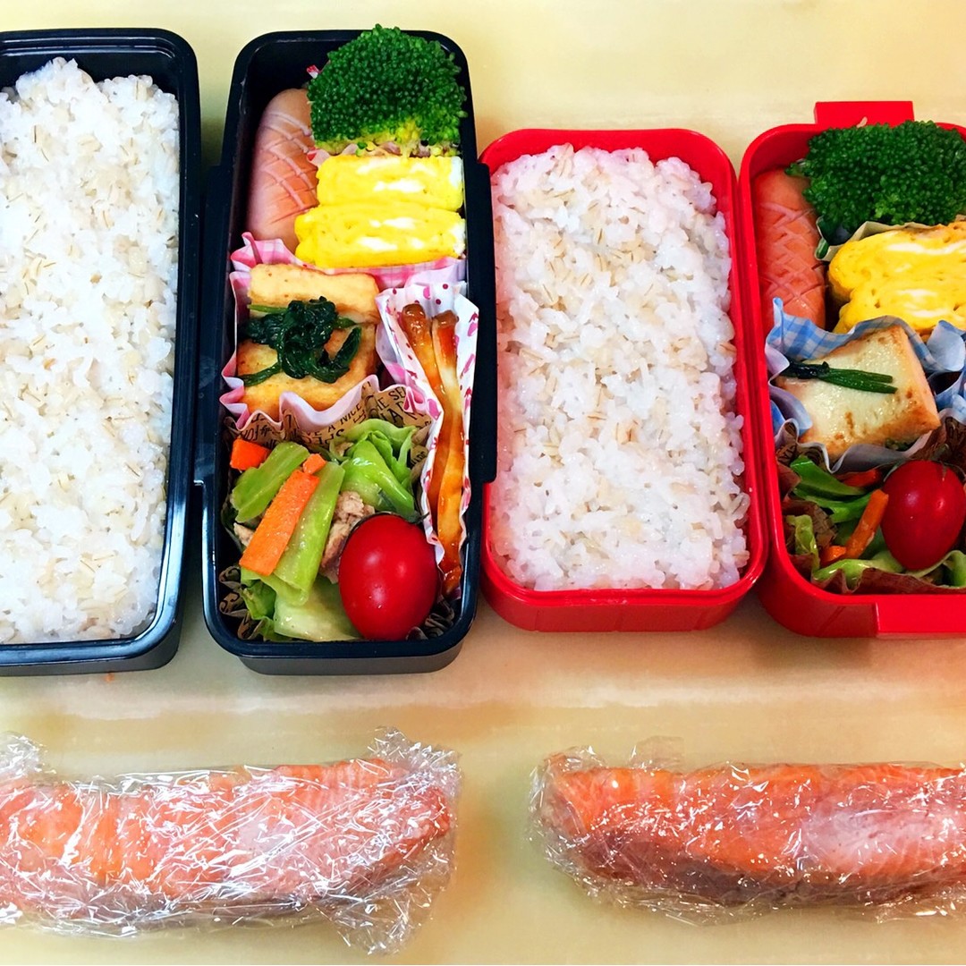鮭弁当