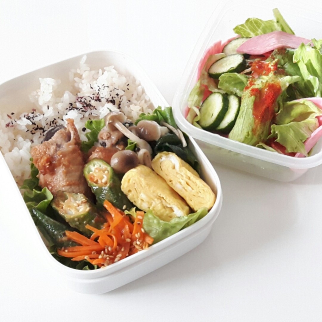 2017.6.5パパ弁当