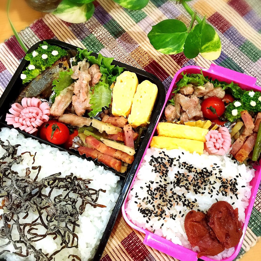 涼しげ弁当
