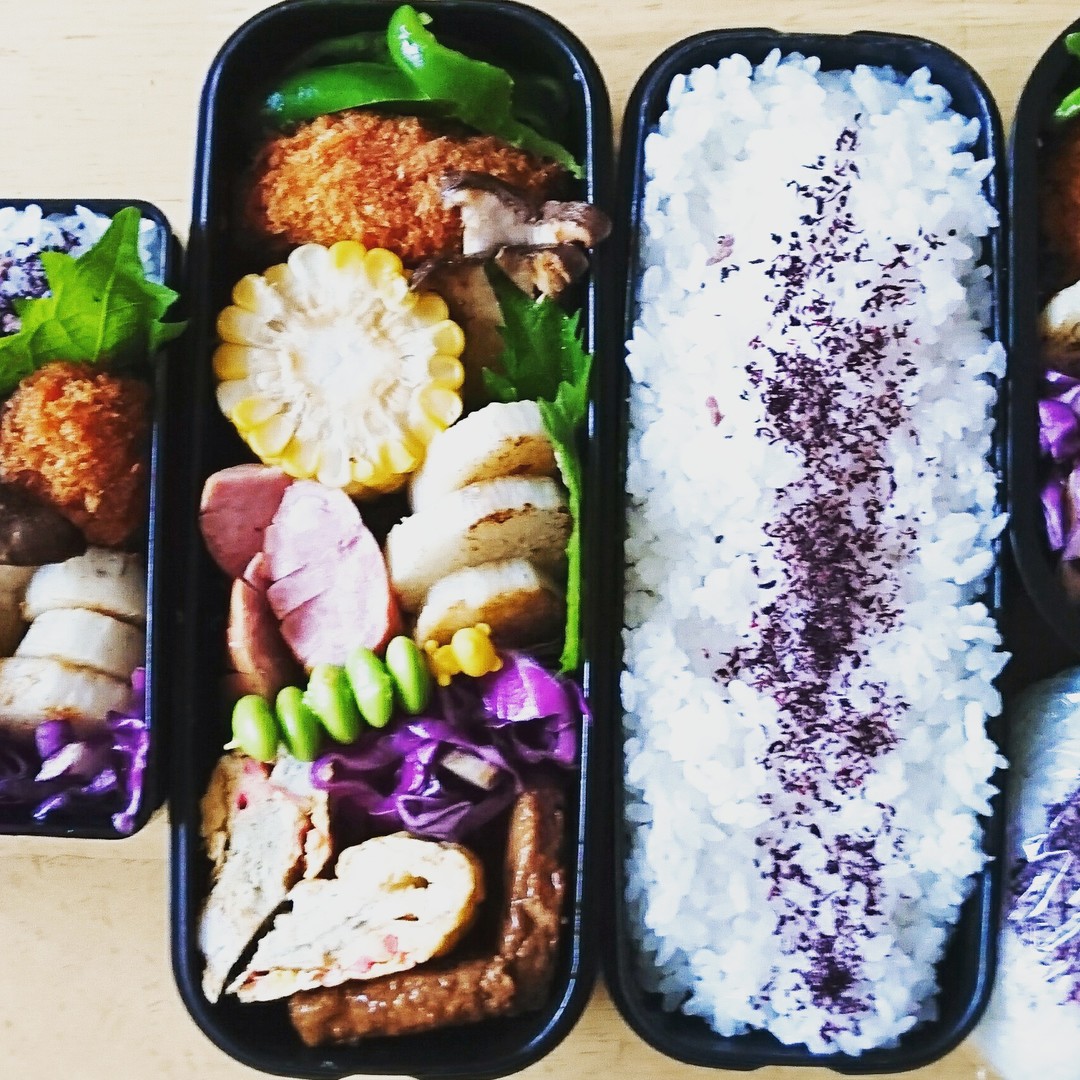 カキフライ弁当