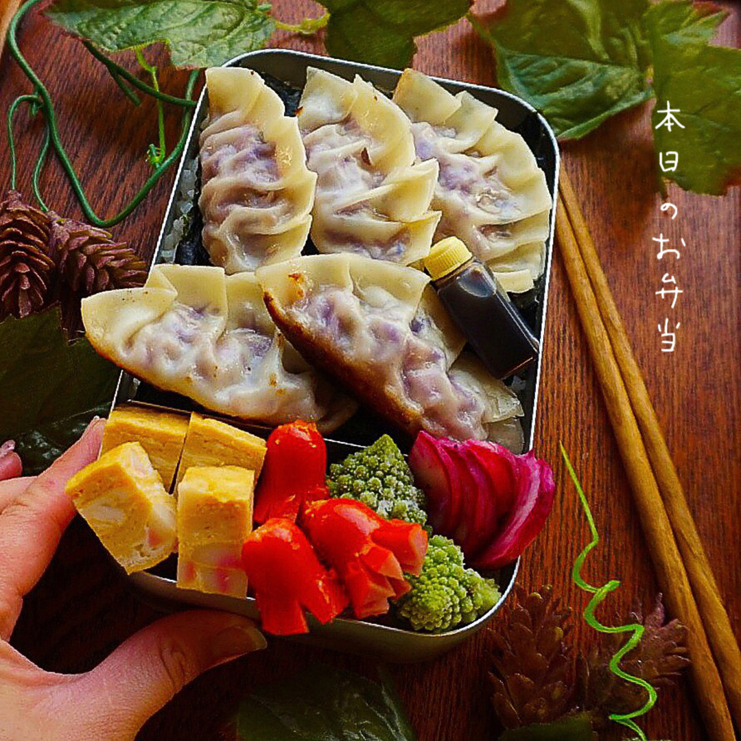 紫キャベツのピンク餃子弁当🥟