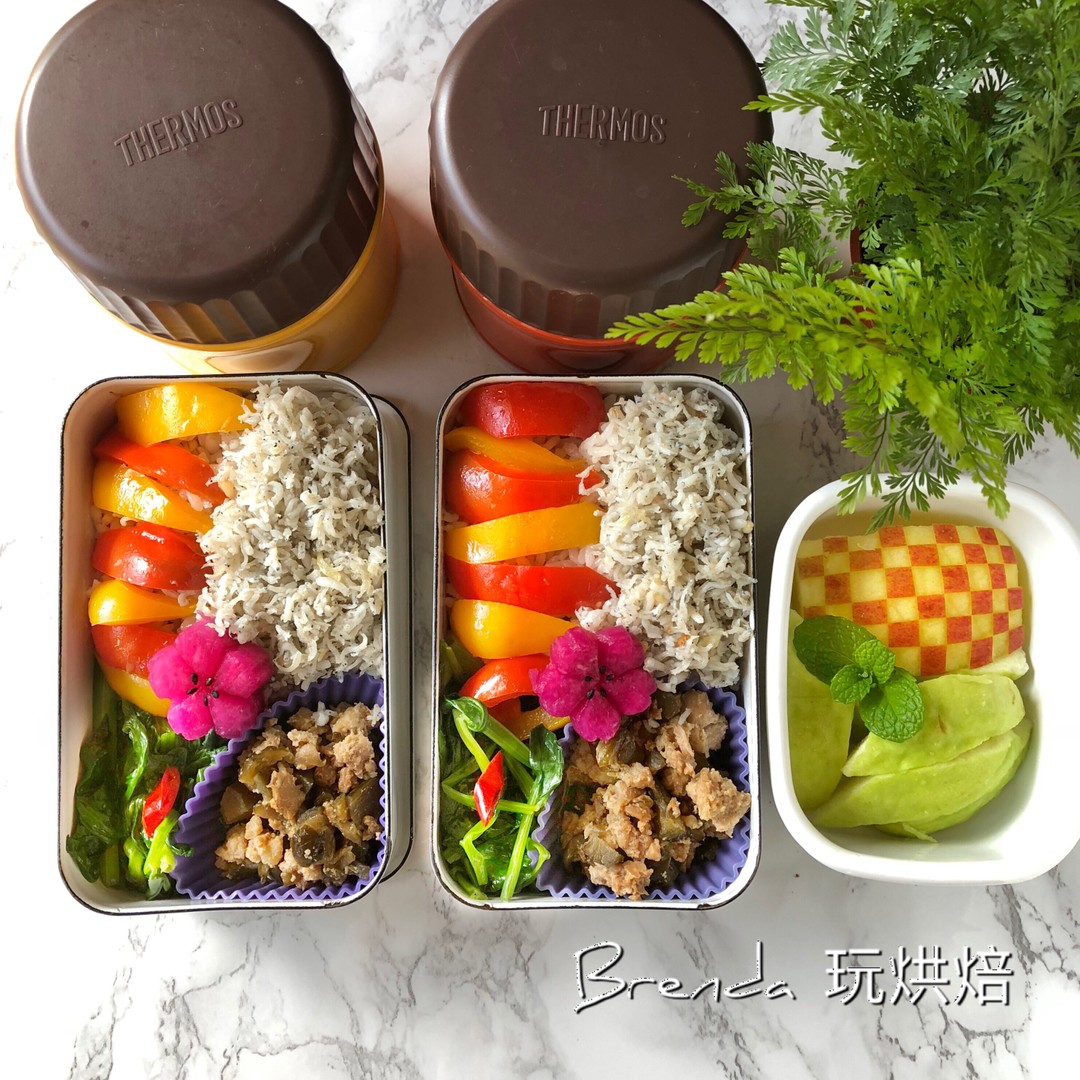 瓜籽肉飯