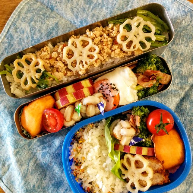 常備菜さまさま弁当♡