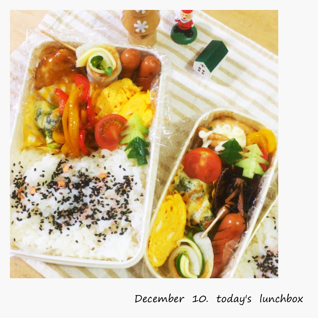 見えてないけど、鶏マヨ弁当