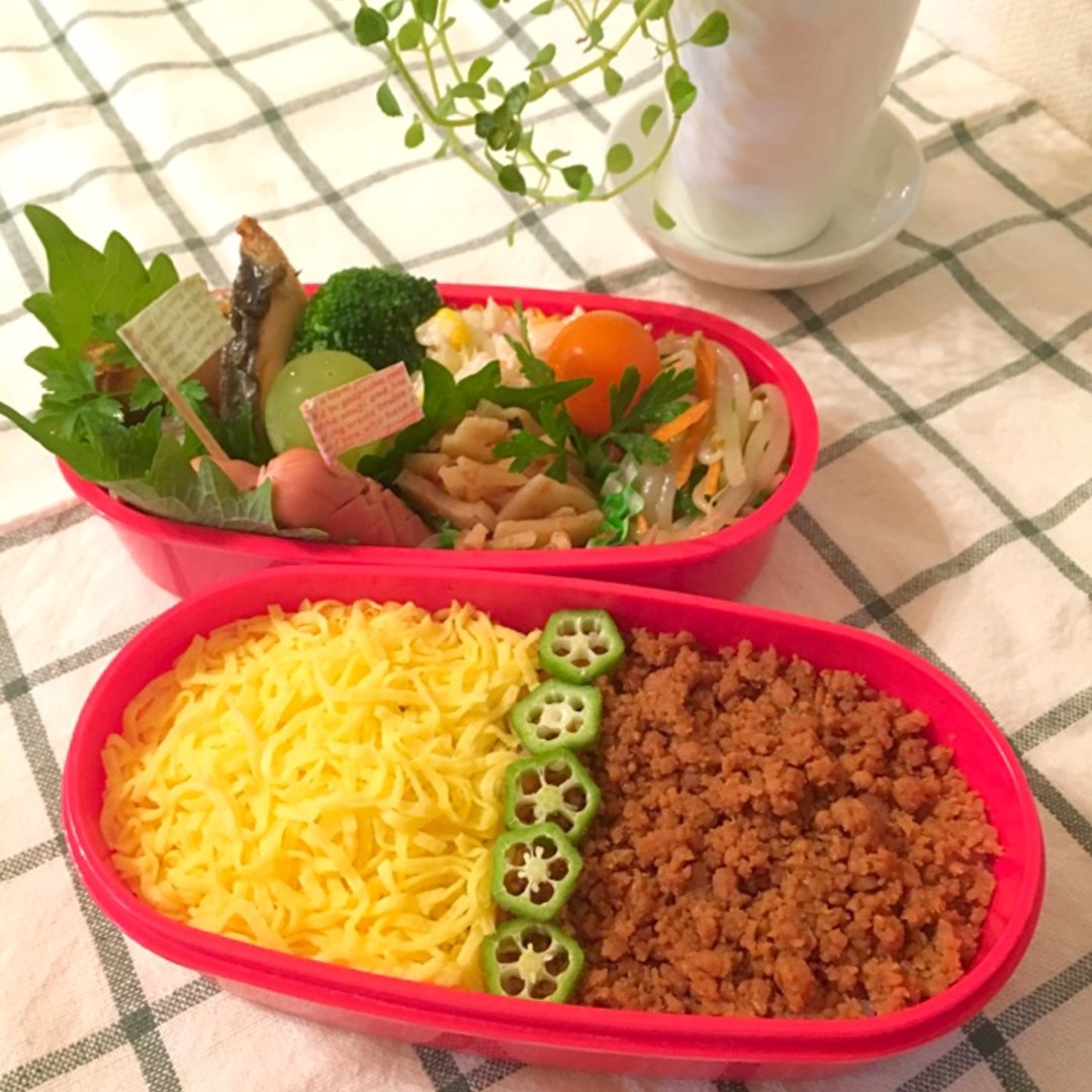 二色ごはんのお弁当