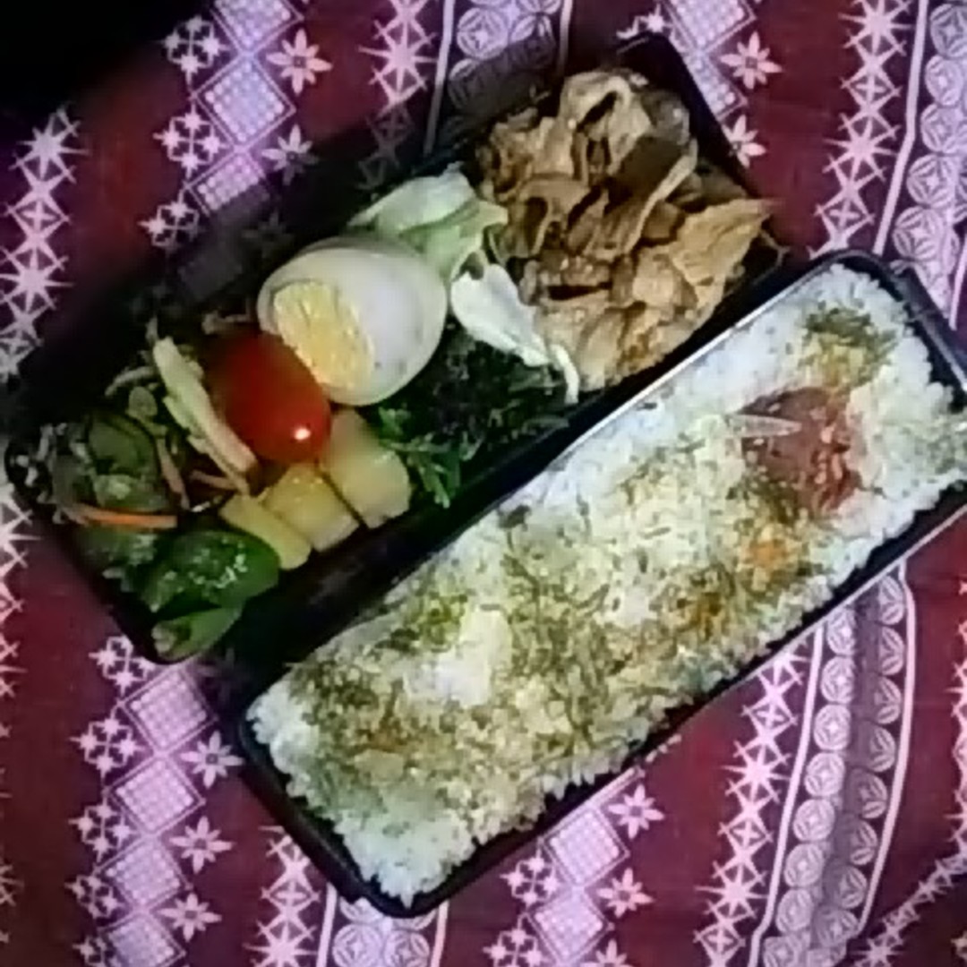 梅干し弁当