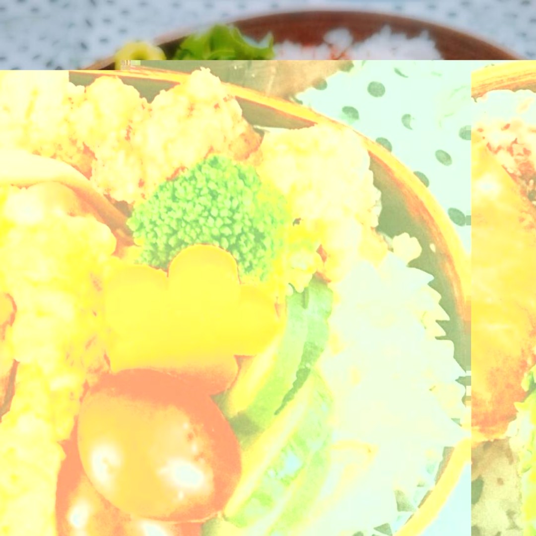 お弁当投稿