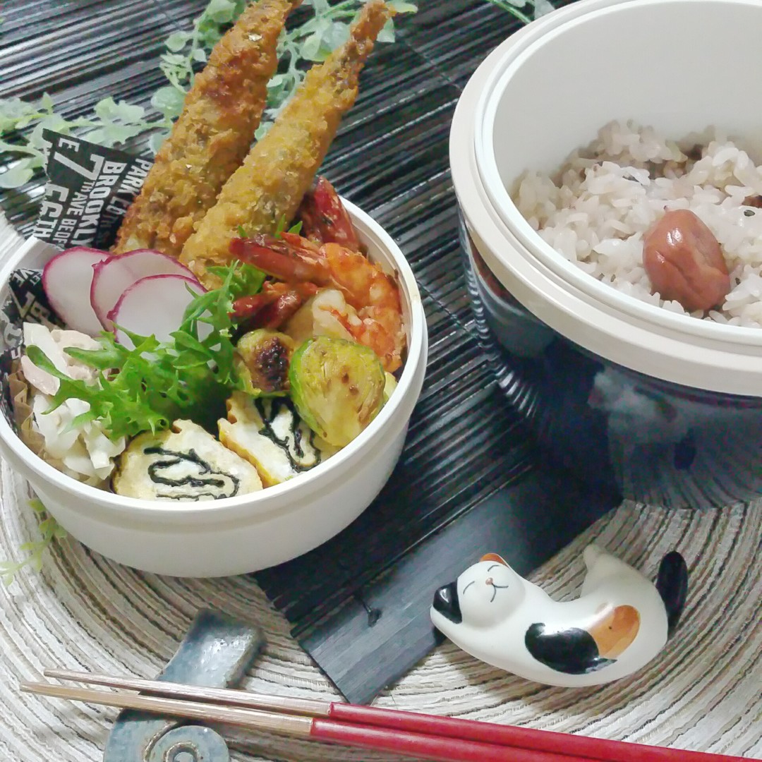 お弁当投稿