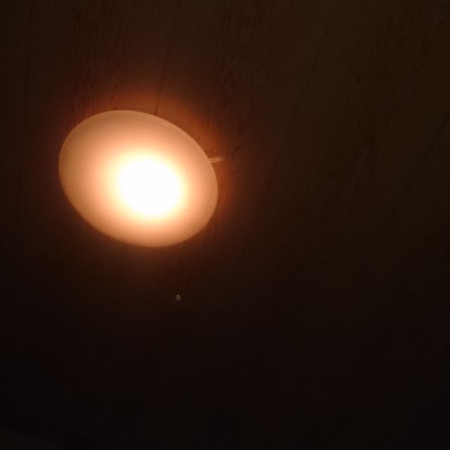 お弁当投稿