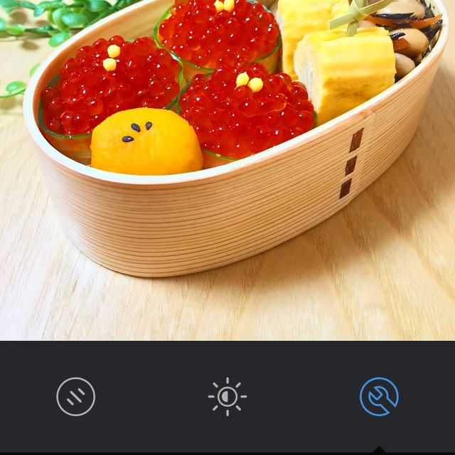 お弁当投稿