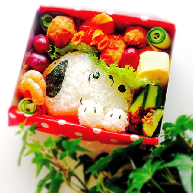 スヌーピーのJCお弁当◡̈♥︎