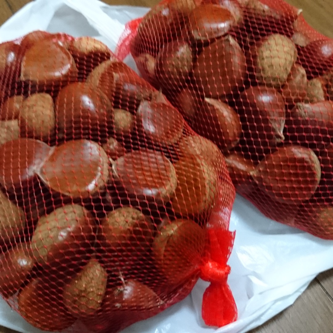 お弁当投稿