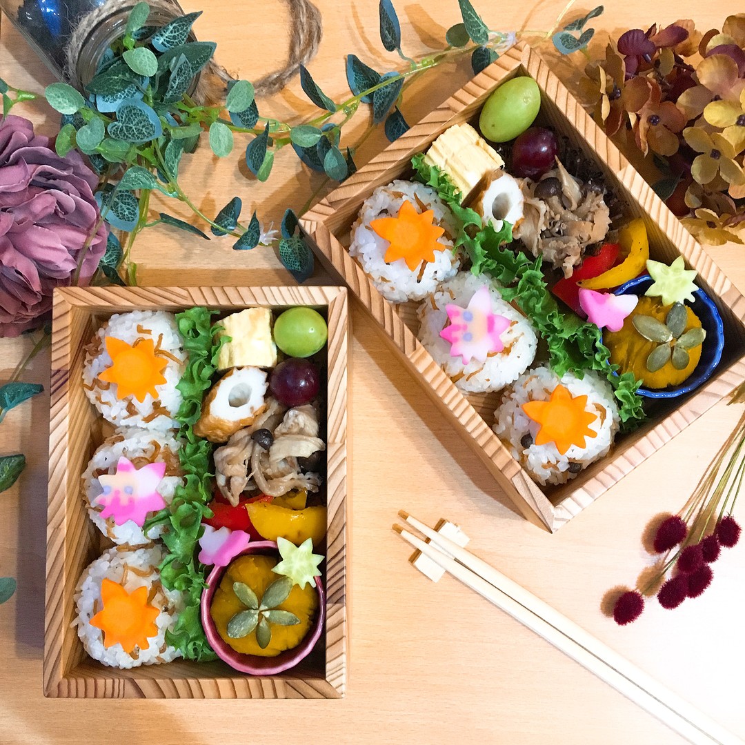 ちりめん山椒のおにぎり弁当