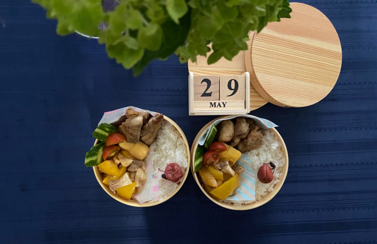 下味冷凍パクチー醤油の鶏もも焼き弁当🥢