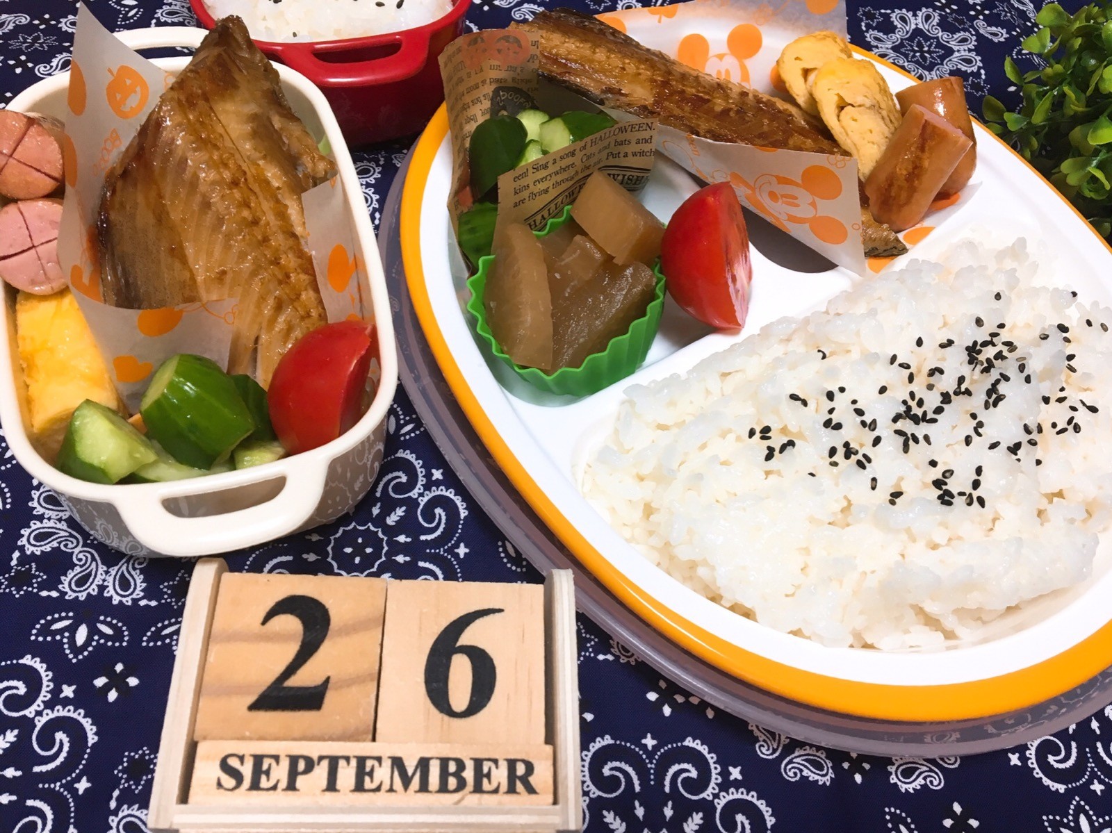 ホッケ🐟ちゃん弁当🍱😋