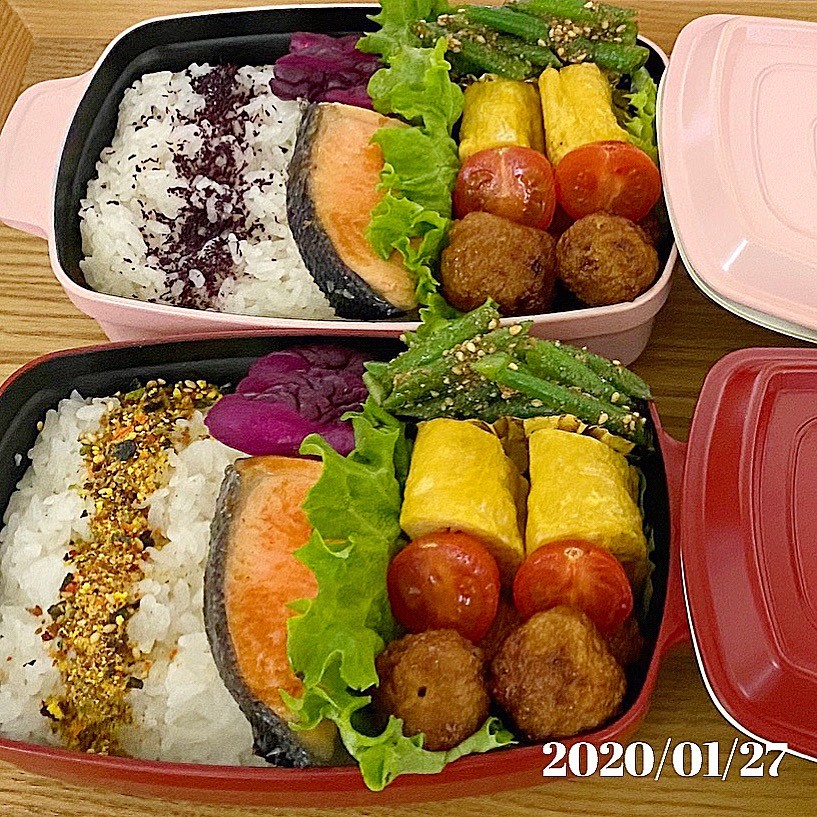 ちっちゃいけど鮭弁当です😄