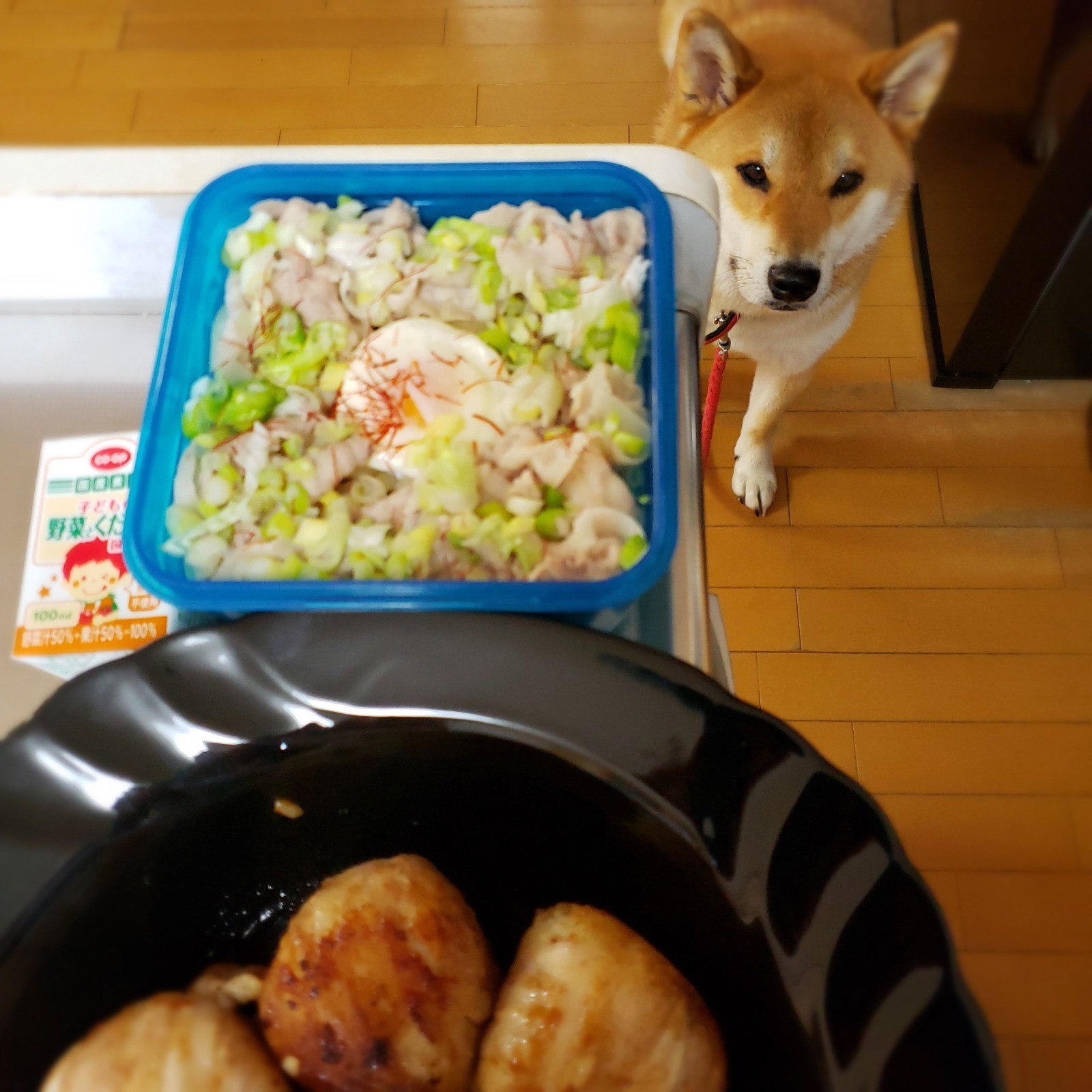 冷やしうどん弁当