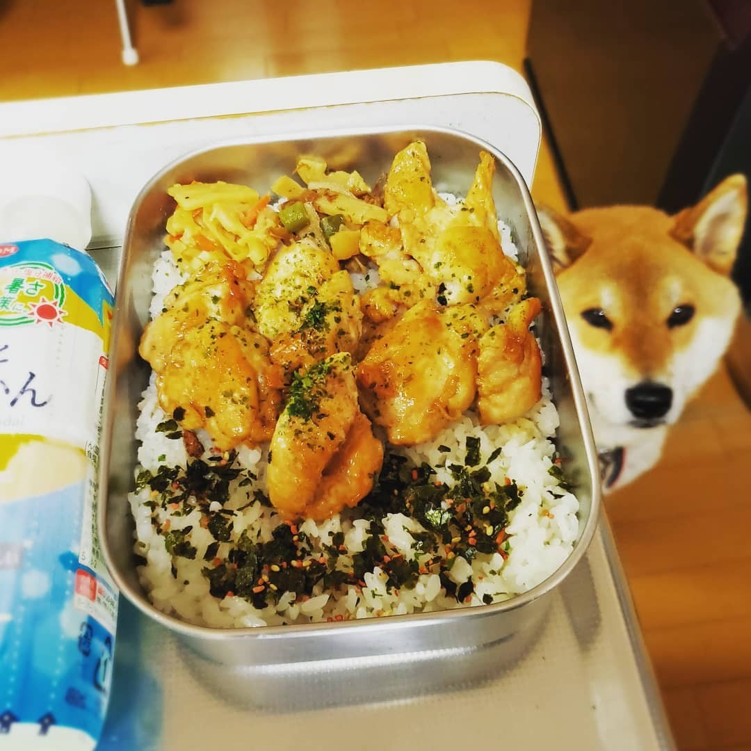 せせりの照り焼き弁当