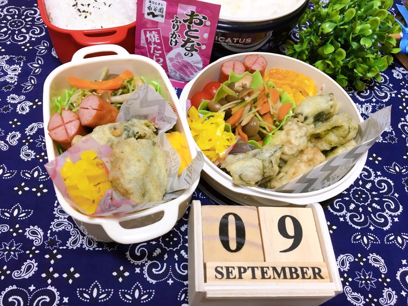あじのしそ巻天ぷら弁当🍱😋