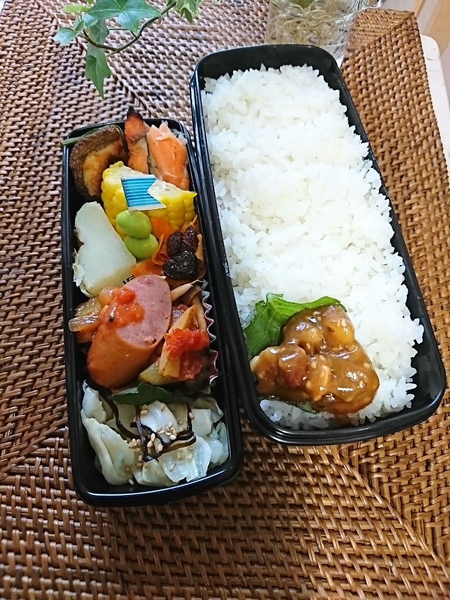 サラメシ弁当