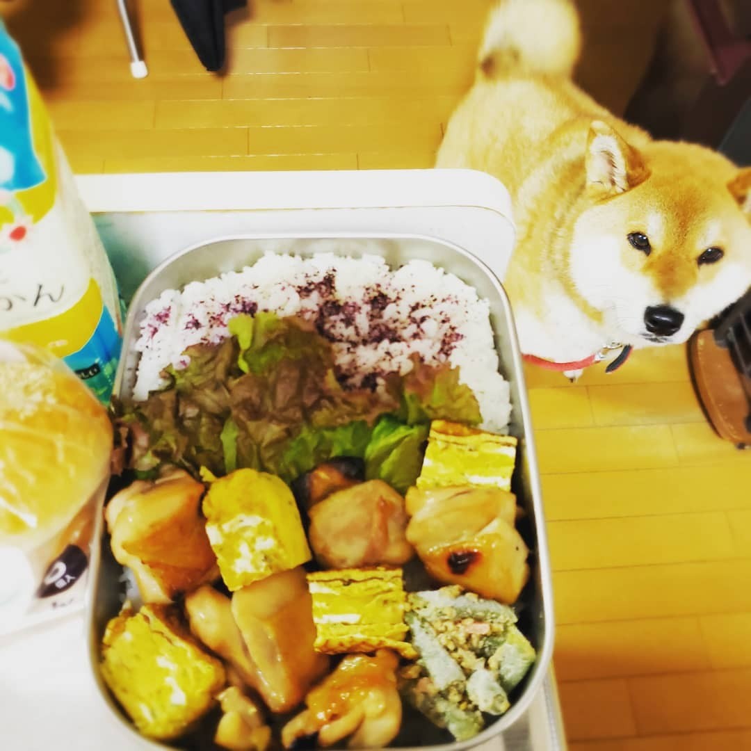 焼き鳥弁当