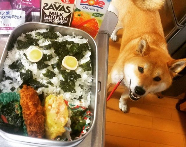 ロボット弁当