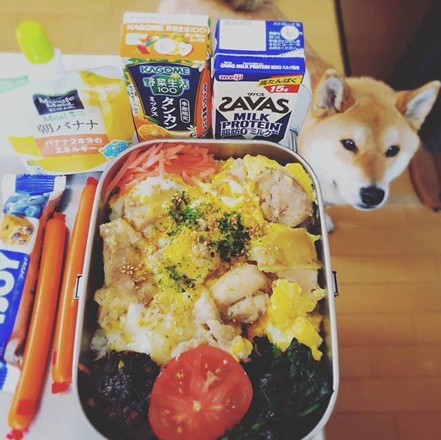 親子丼弁当