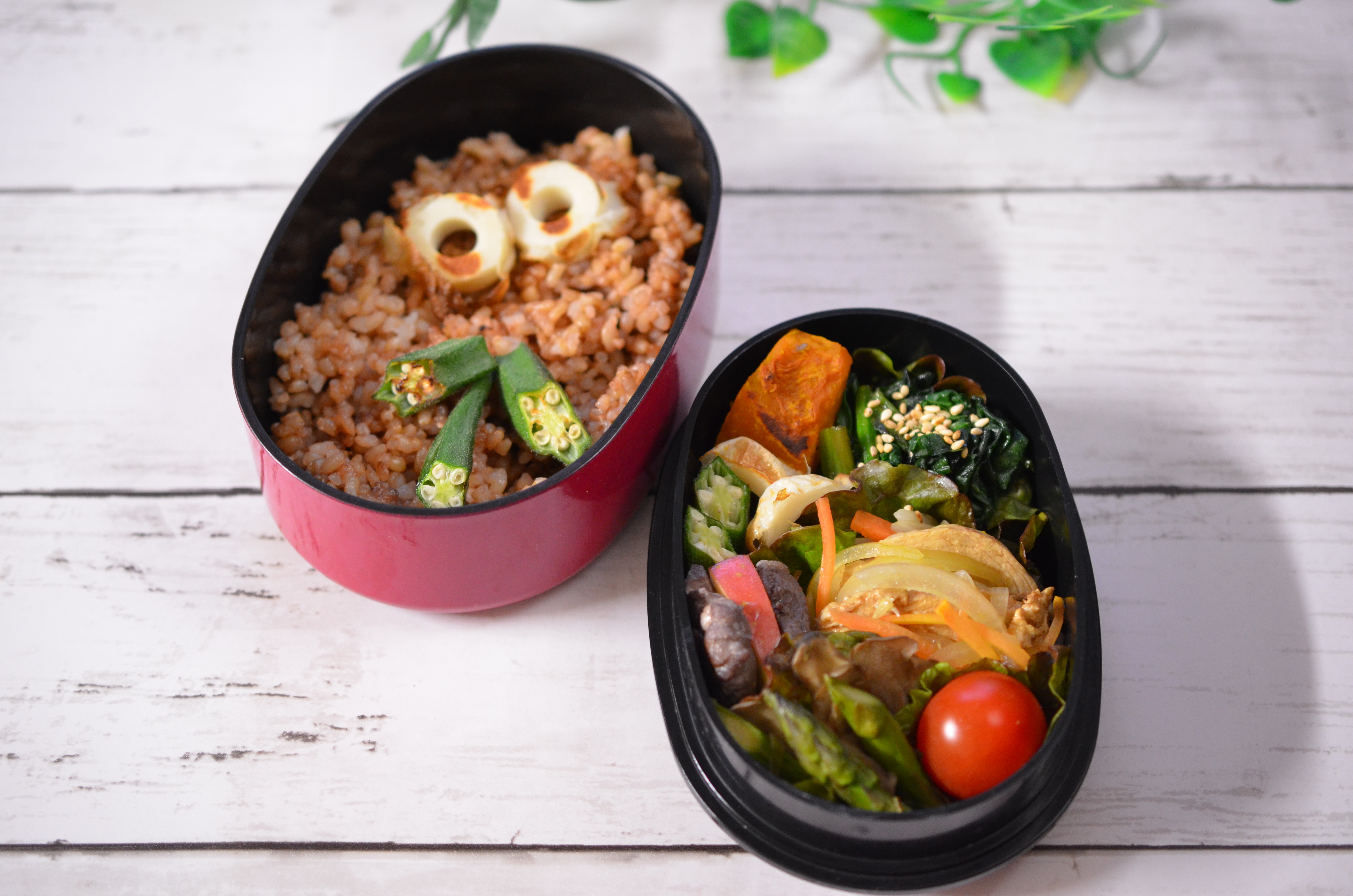 鶏むねマリネと豚ヒレ煮込みに彩り野菜の女子弁当♡