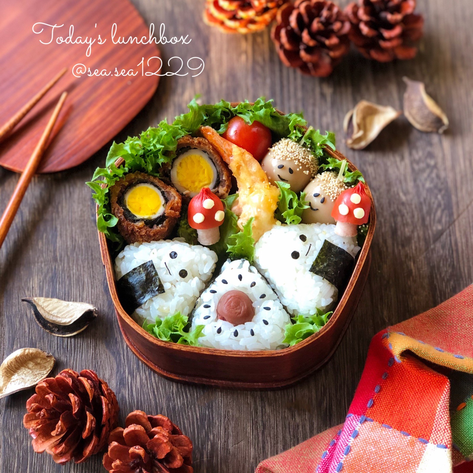すみっこぐらしおにぎり弁当🍙