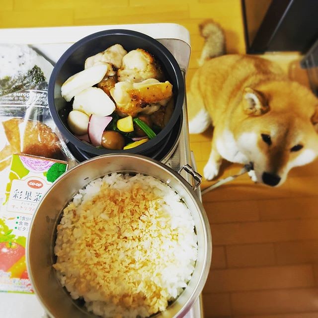 焼き鳥弁当