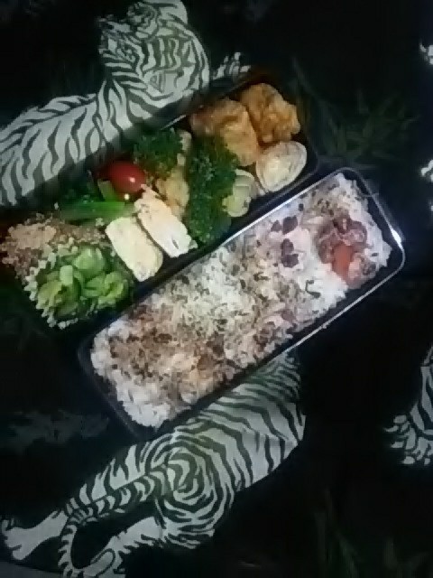 梅干し弁当