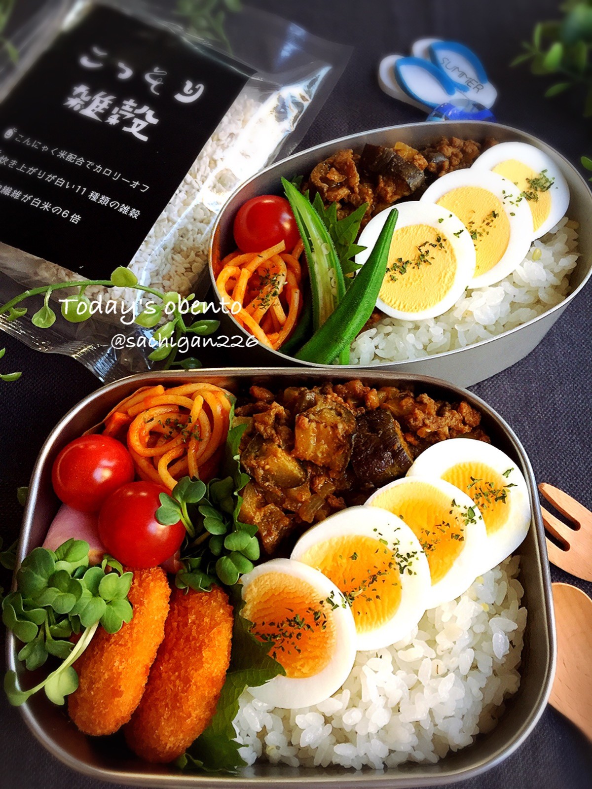茄子たっぷりドライカレー弁当