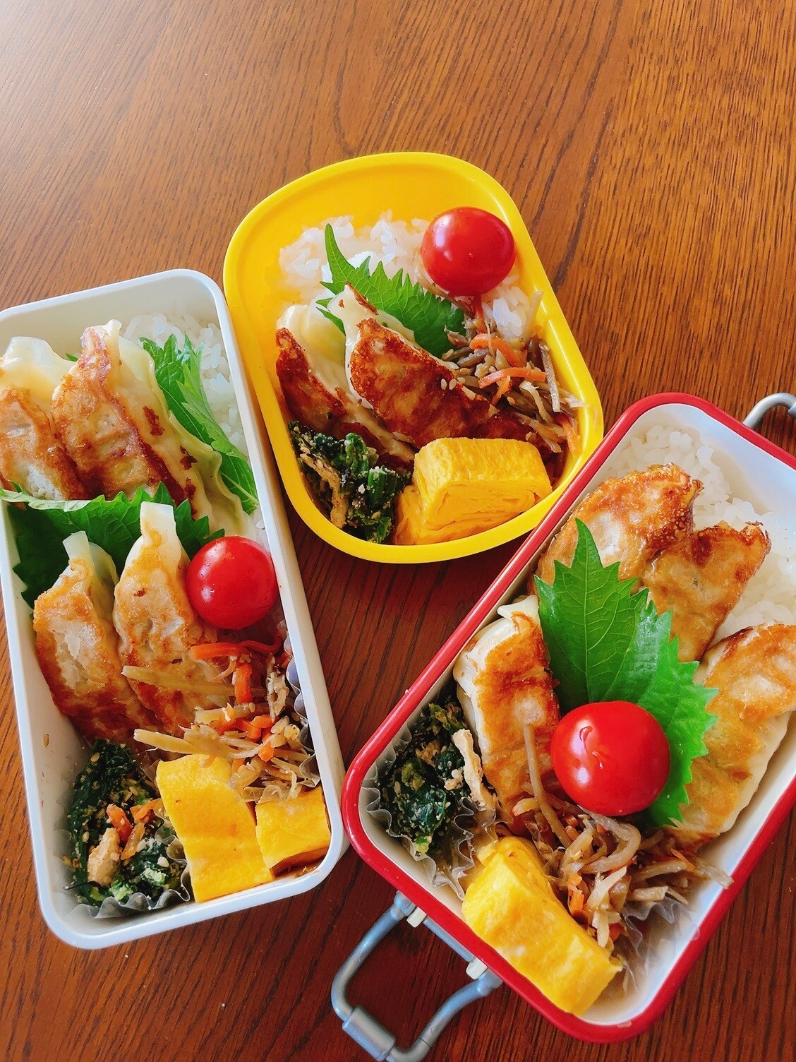 【Today’s bento】