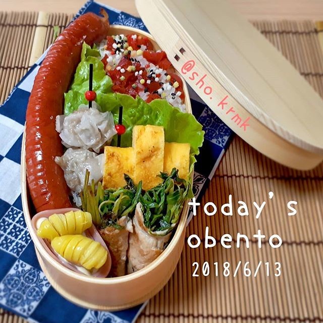 豆苗の豚肉巻き弁当🍱