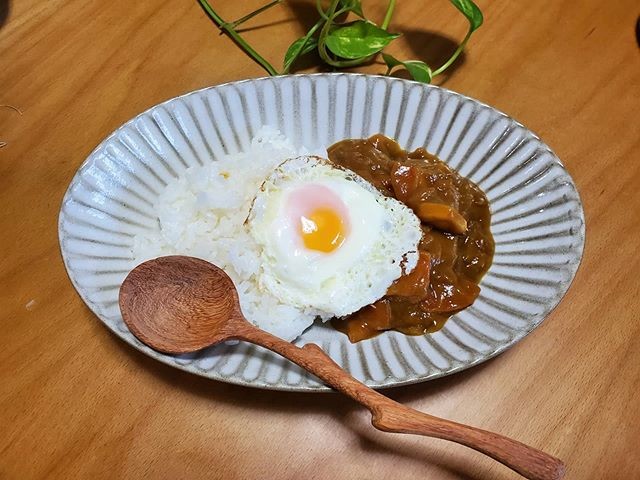 カレー🍛