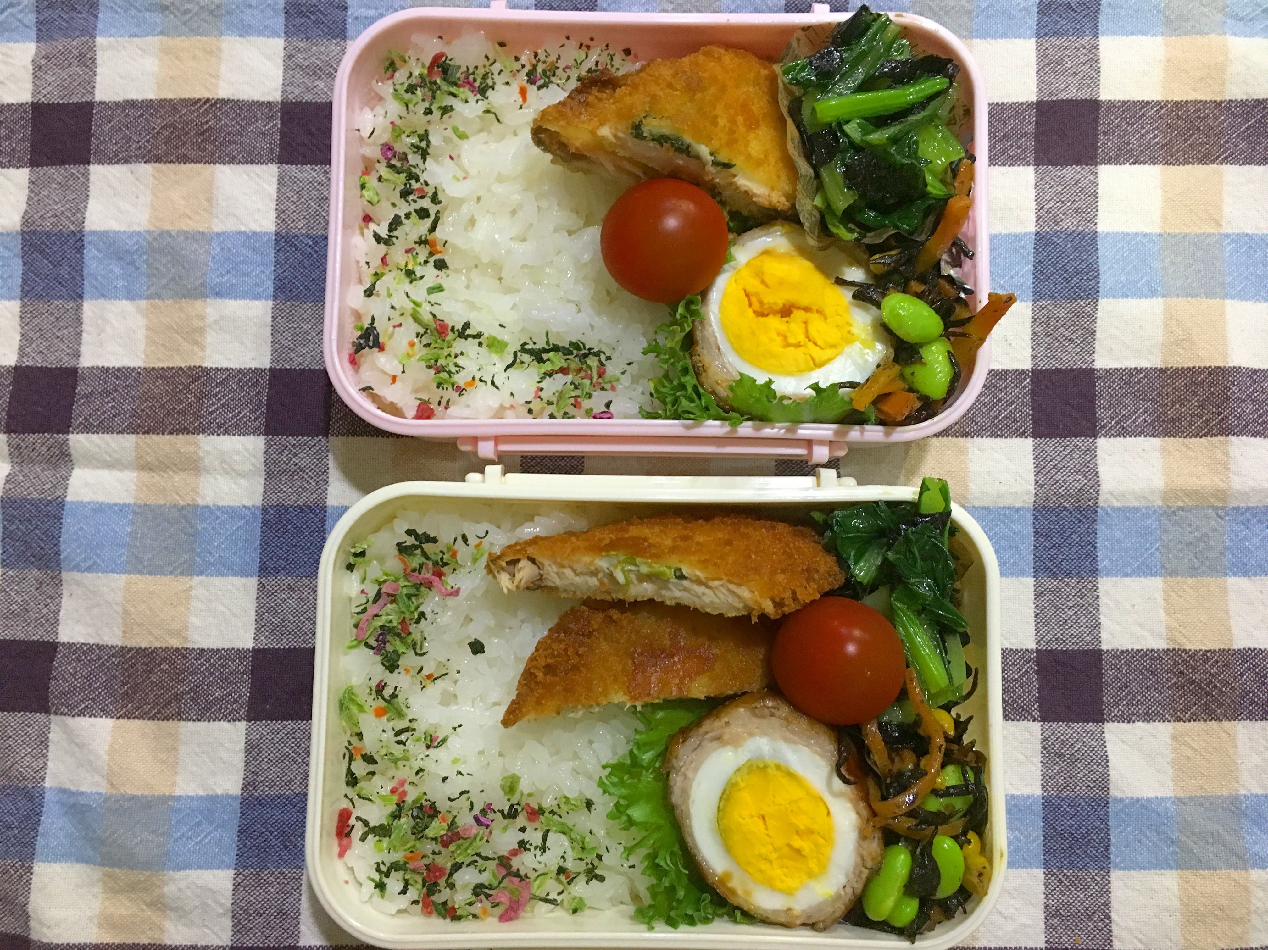 お魚フライ弁当
