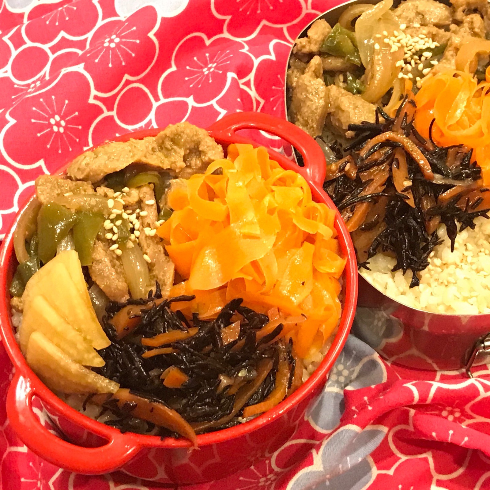 JK娘と夫ののっけ弁