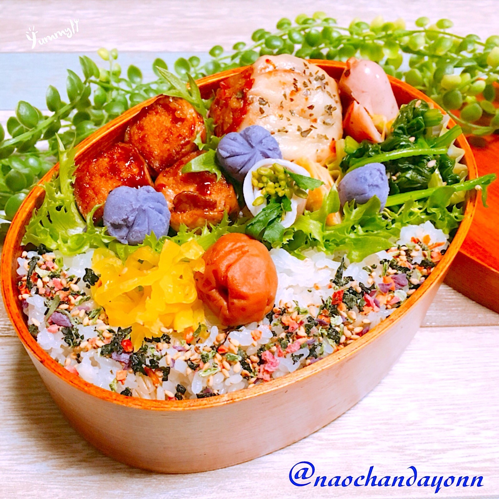 サラメシ弁当🍱