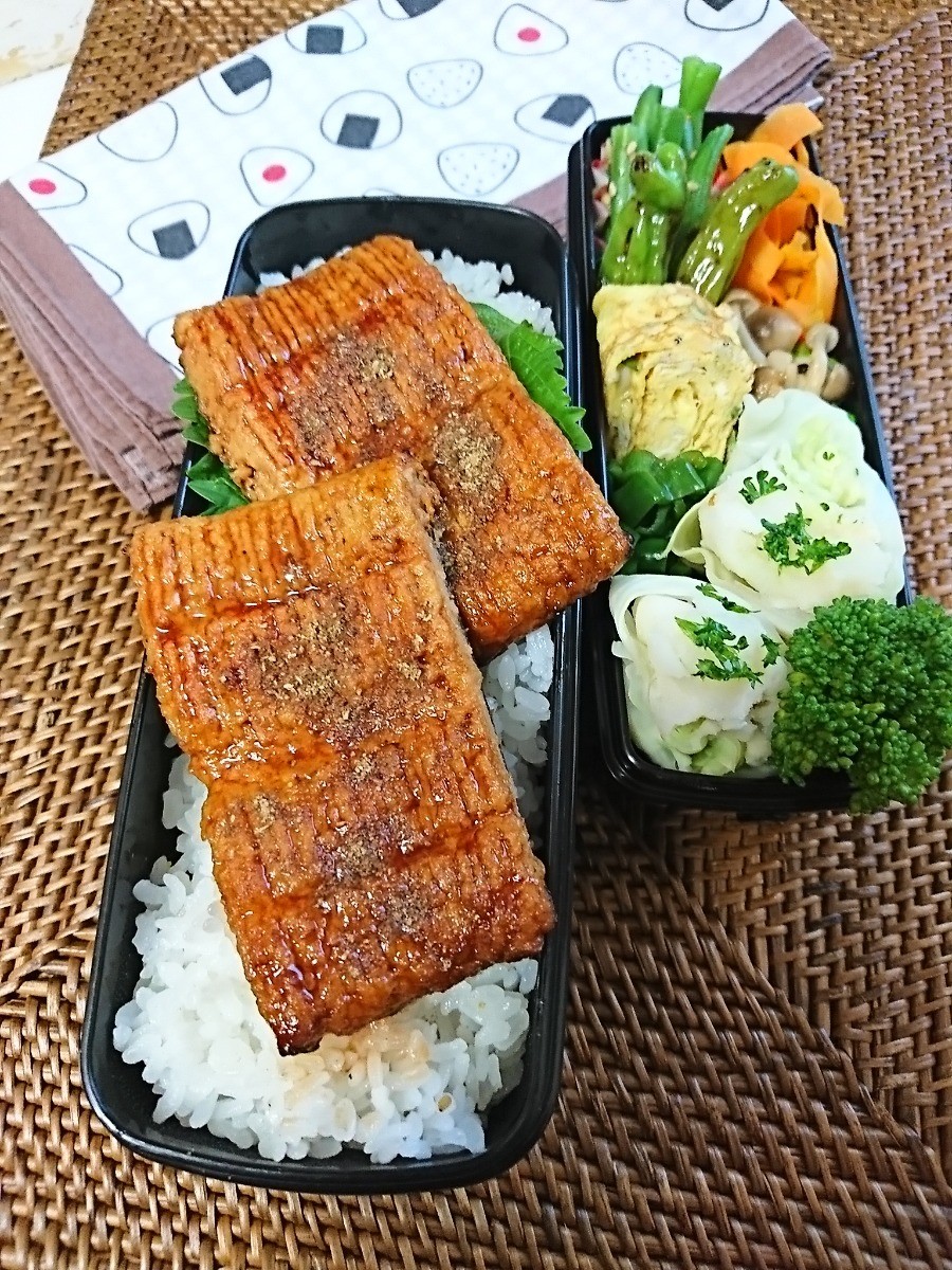 うな次郎どーん弁当