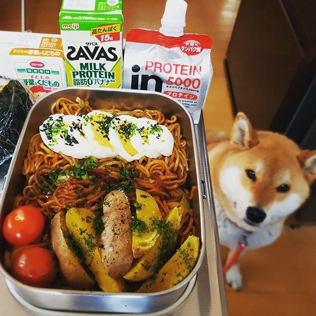 ハマスタ弁当