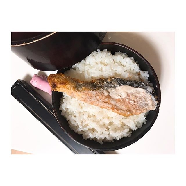 旦那弁当